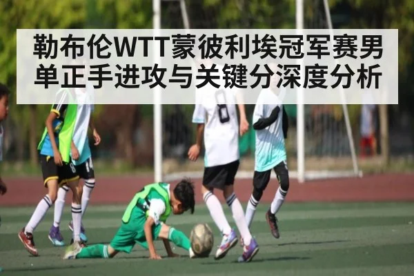 勒布伦WTT蒙彼利埃冠军赛男单正手进攻与关键分深度分析